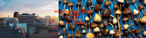 бошки Горнозаводск