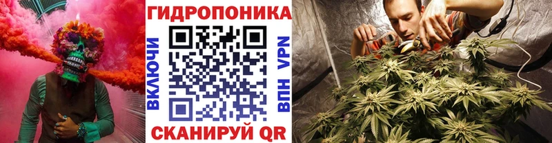 Шишки марихуана гибрид  ссылка на мегу   Железногорск-Илимский 